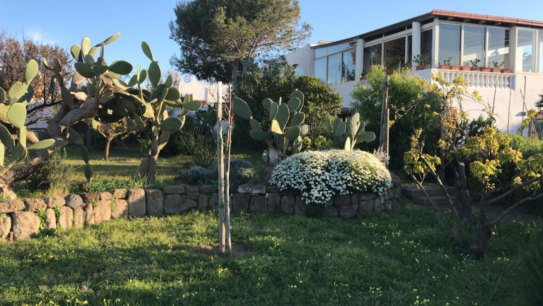 Photo of Others in Ventotene