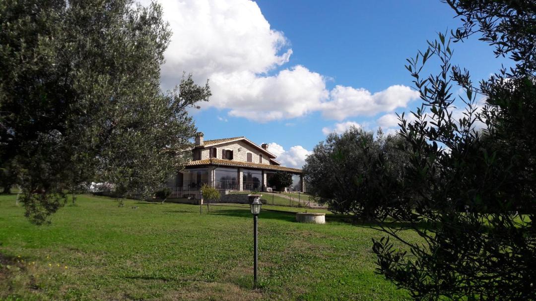 Photo of Others in Cerveteri