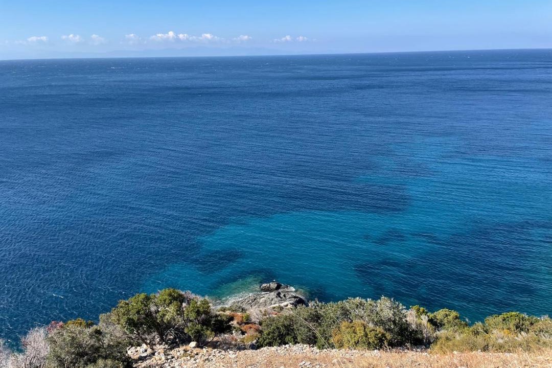 Photo of Others in Campo nell'Elba