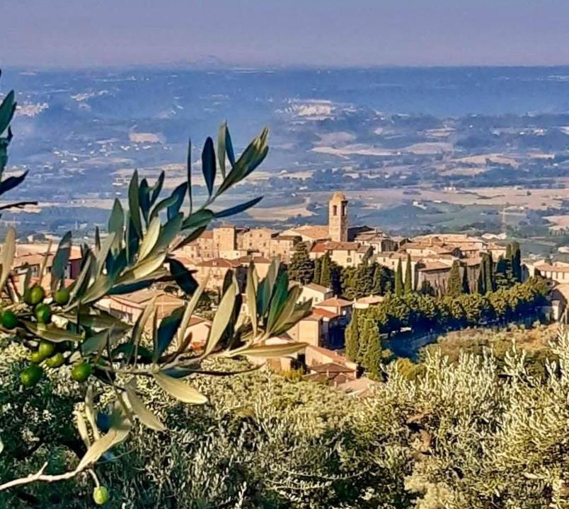 Photo of Others in Montecchio