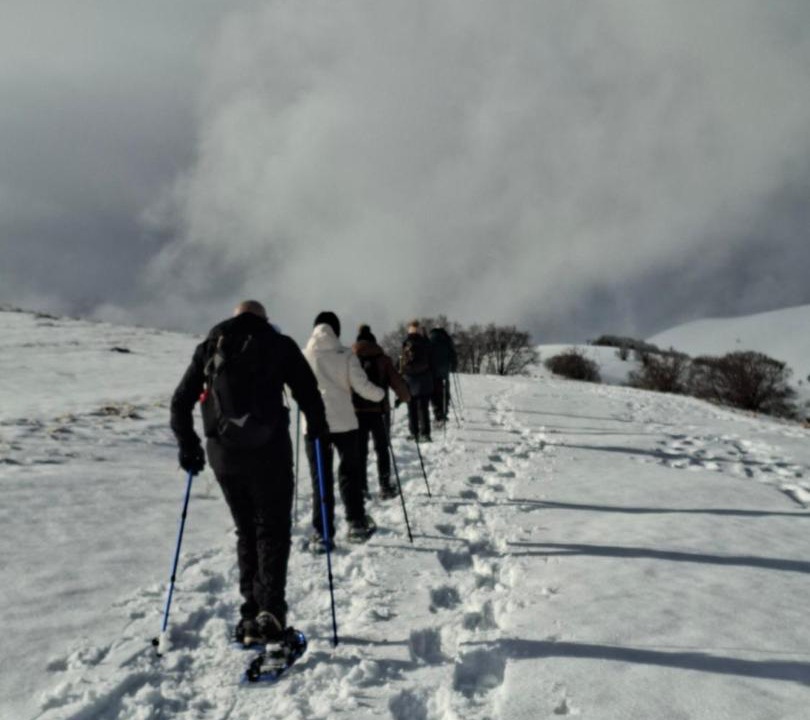 Photo of Others in Norcia