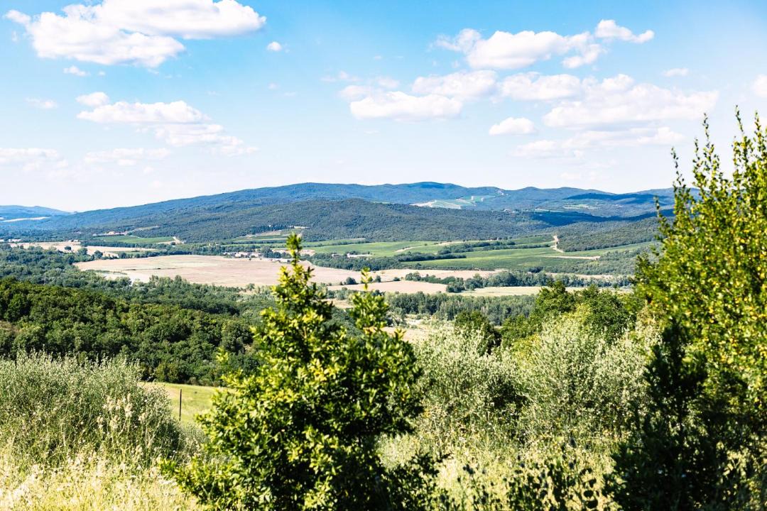 Photo of Others in Monte Antico Alto