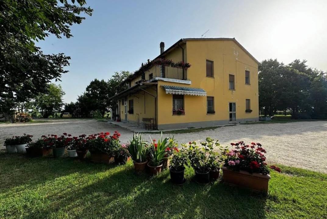 Photo of Others in Massa Castello