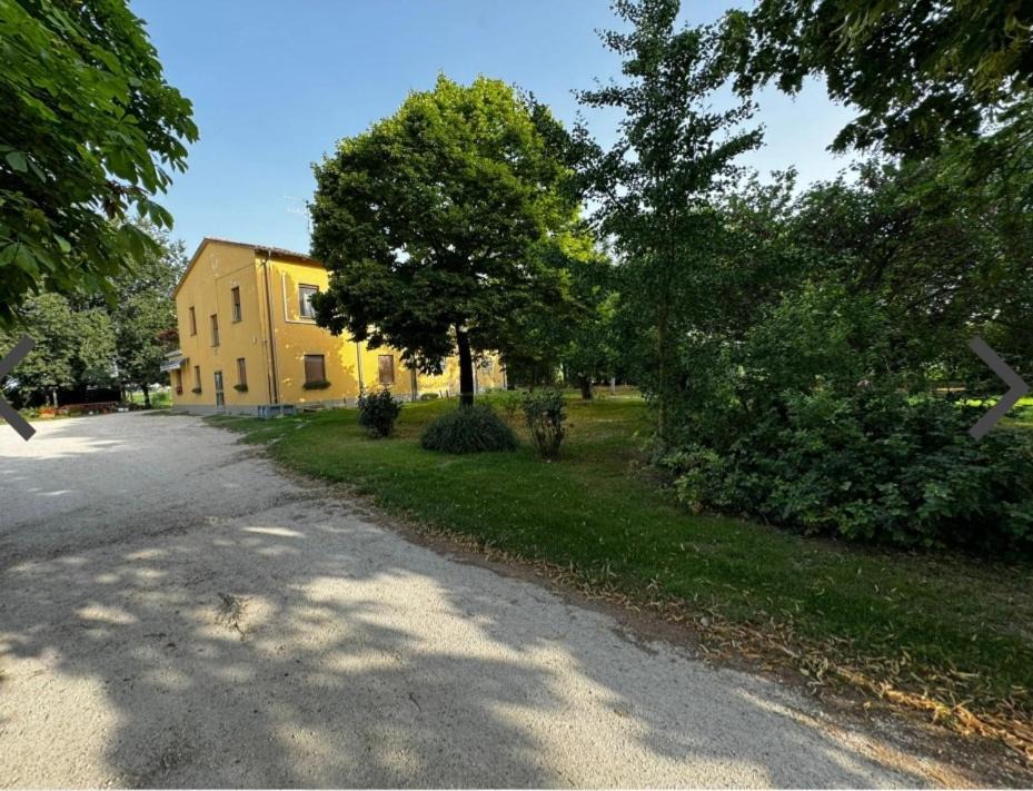 Photo of Others in Massa Castello