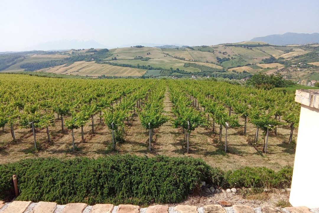 Photo of Others in Castilenti