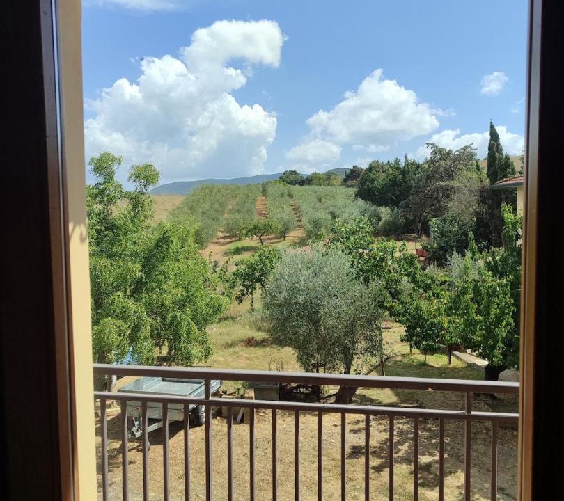 Photo of Others in Casale Marittimo