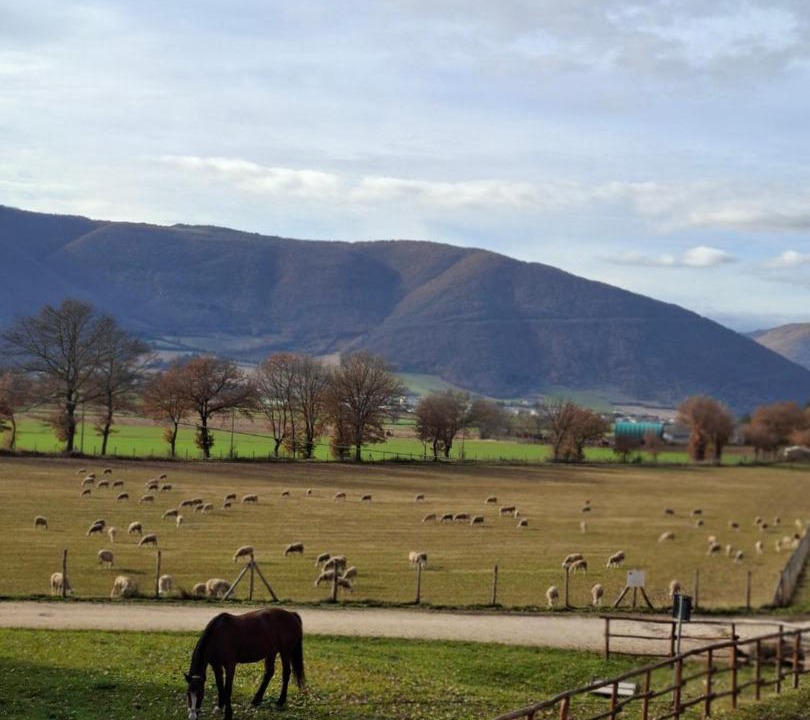 Photo of Others in Norcia