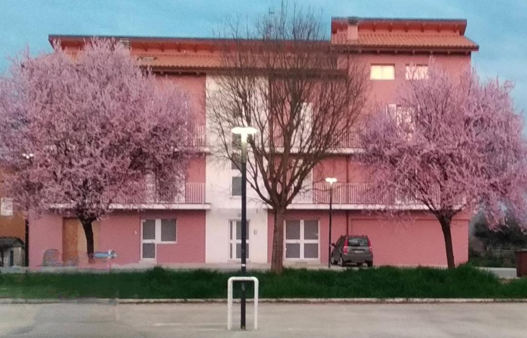 Photo of Others in Marsciano