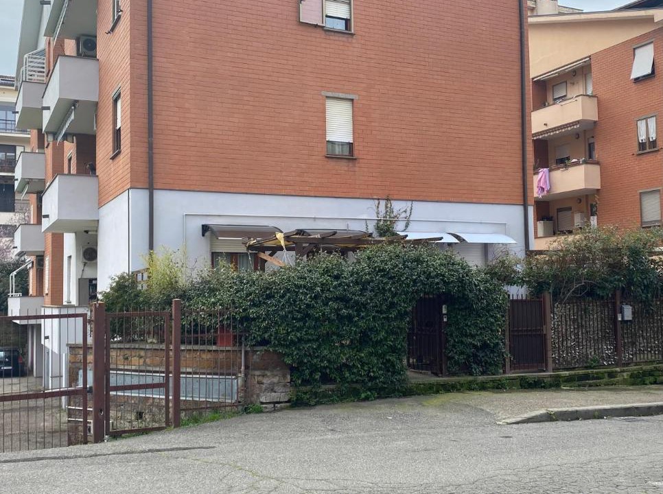 Photo of Others in Viterbo