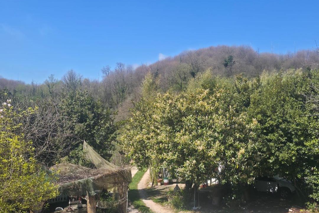 Photo of Outdoor in Norma