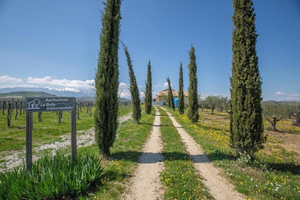 Photo of Others in Castilenti