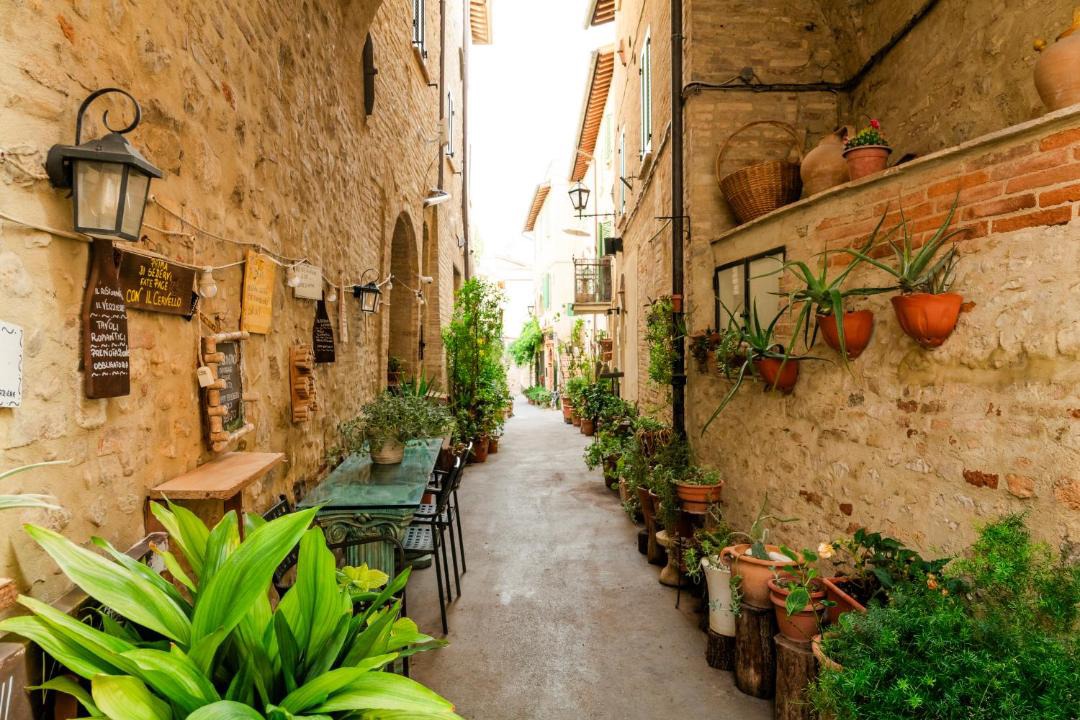 Photo of Others in Montefalco