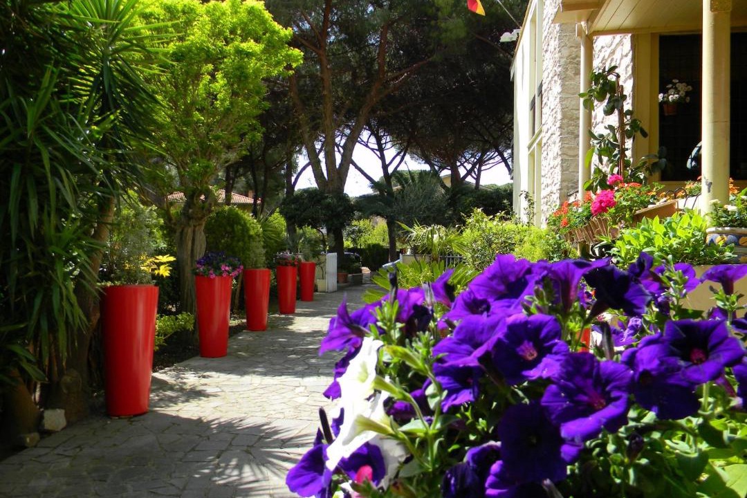 Photo of Others in Lido di Tarquinia