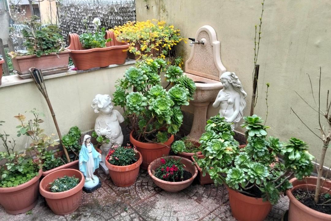 Photo of Others in Rome Province