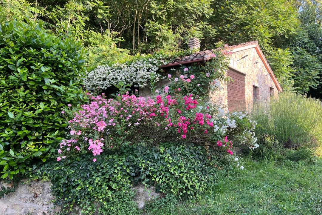 Photo of Others in Massa Martana