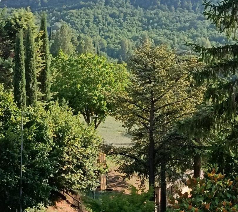 Photo of Others in Gualdo Tadino