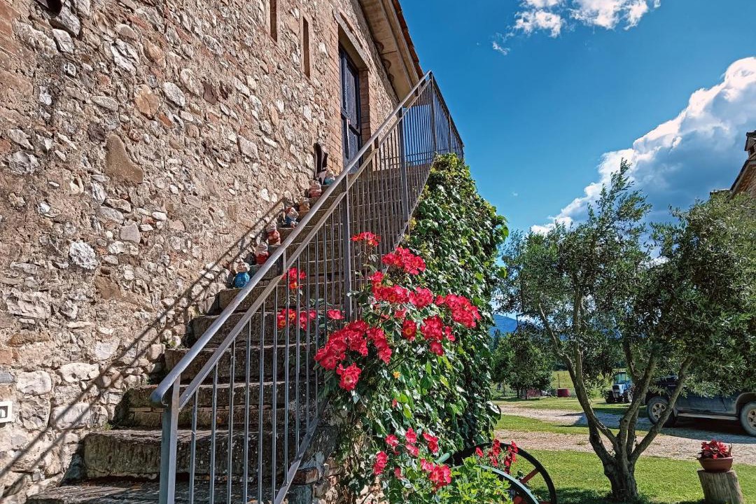 Photo of Others in Montone
