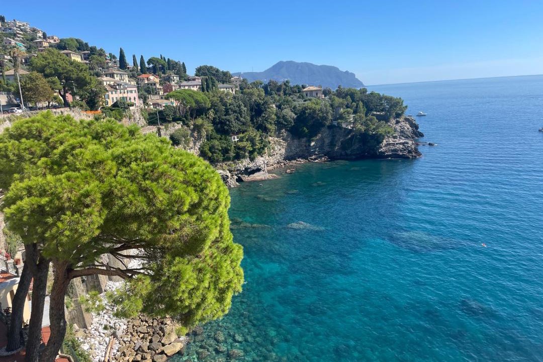 Photo of Others in Pieve Ligure