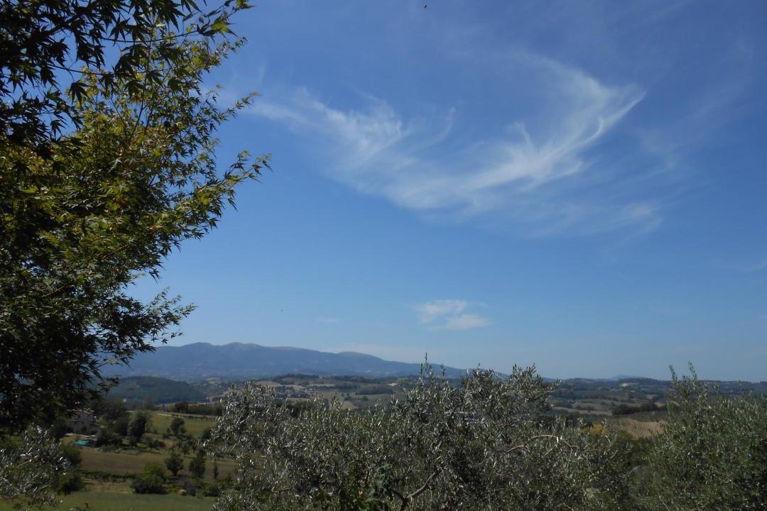 Photo of Others in Spoleto