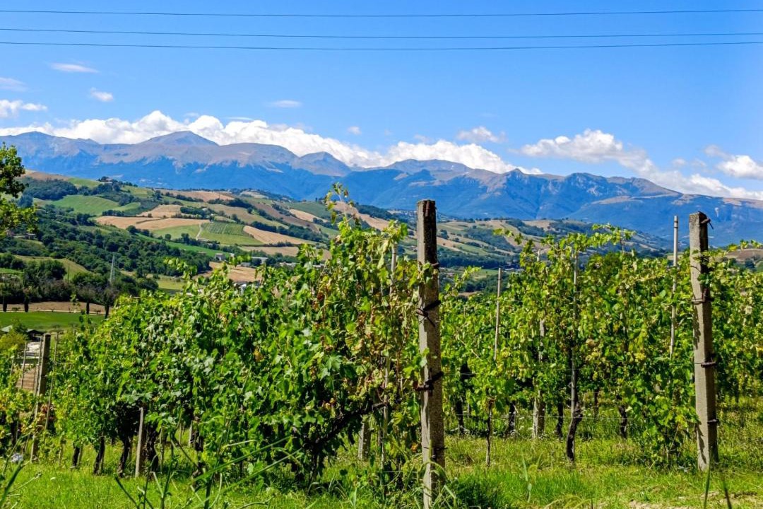 Photo of Others in San Ginesio