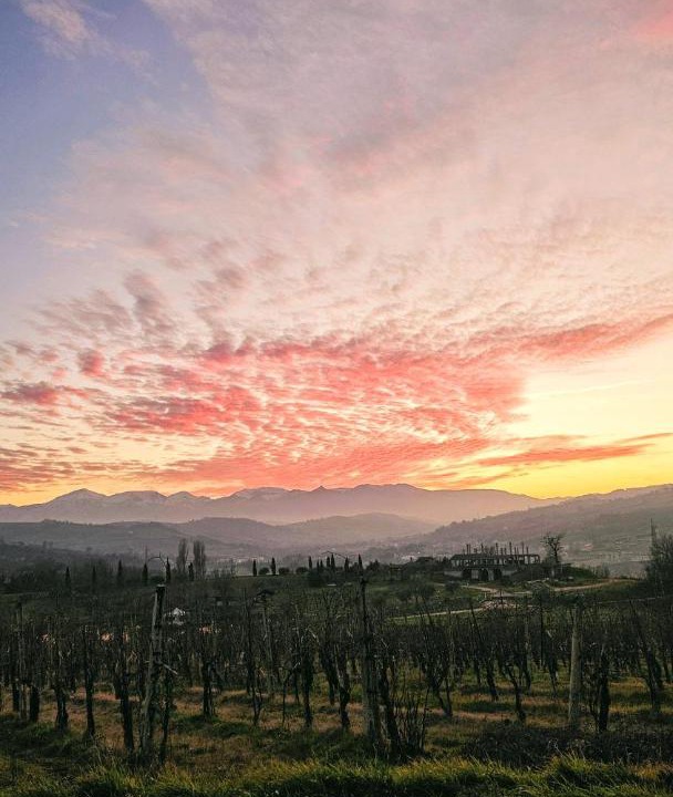 Photo of Others in San Ginesio