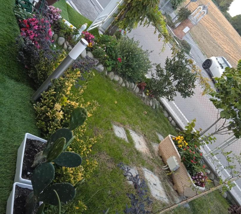 Photo of Others in Longiano