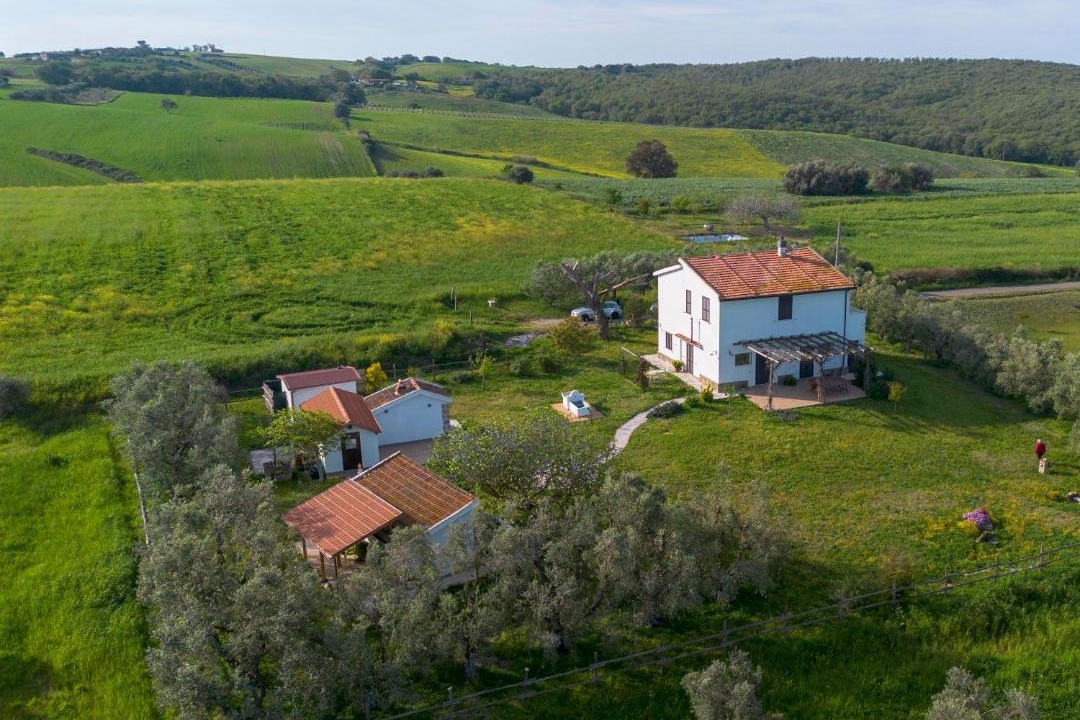 Photo of Others in Tarquinia