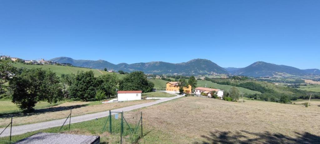 Photo of Others in Camerino