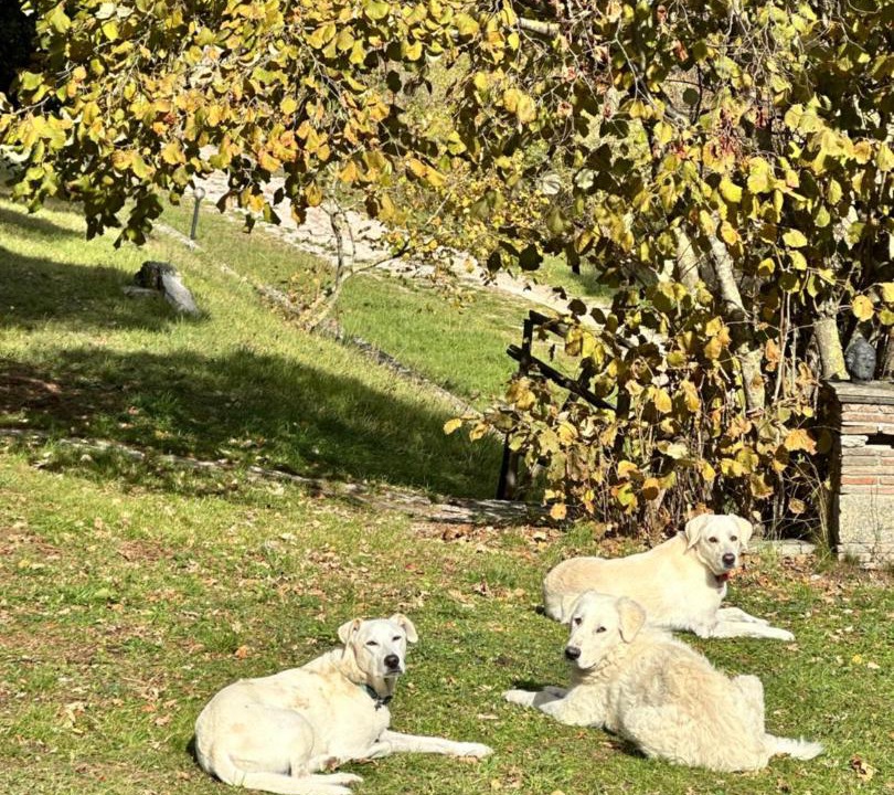 Photo of Others in Gubbio