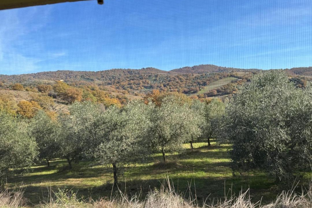 Photo of Others in Scansano
