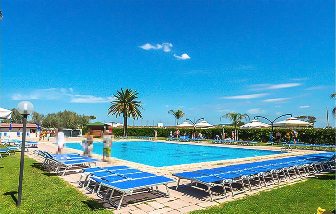 Photo of Others in Lido di Tarquinia