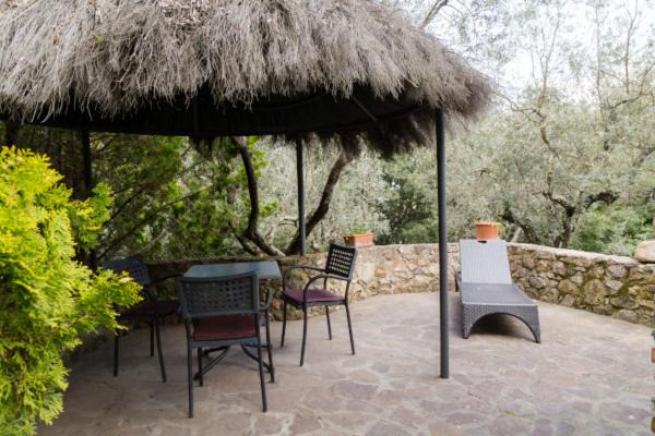 Photo of Others in Gavorrano