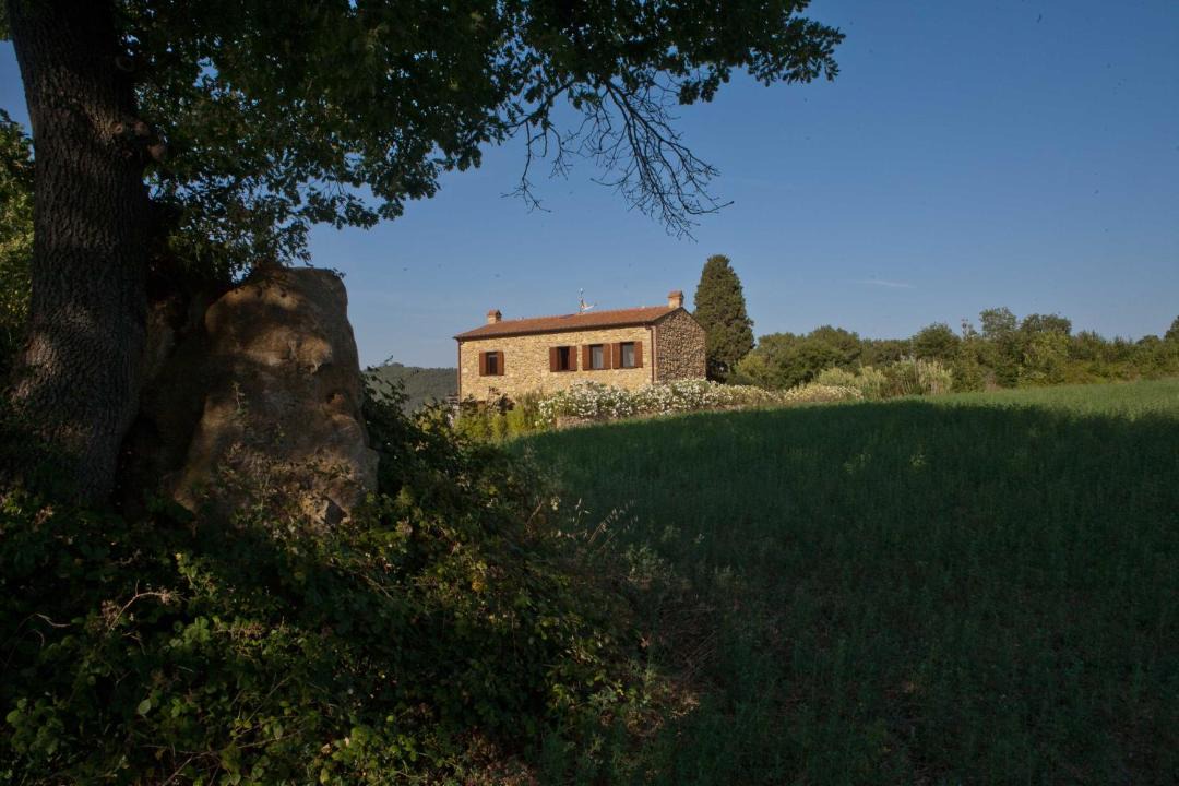 Photo of Others in Montescudaio