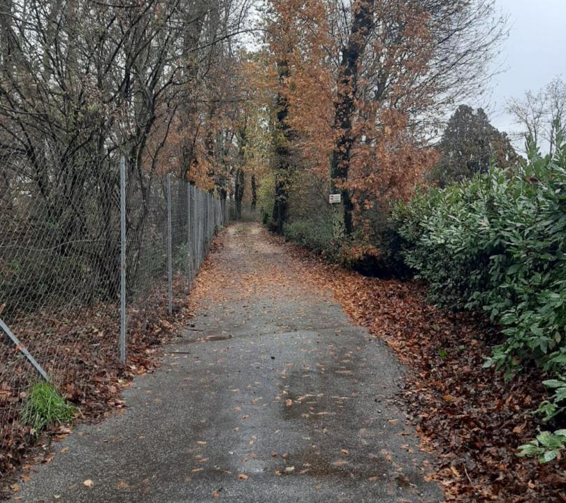 Photo of Others in Morlupo