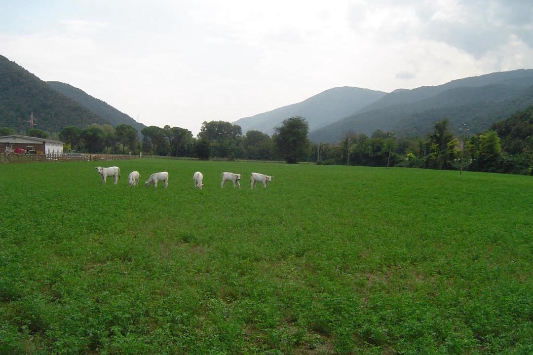Photo of Others in Terni