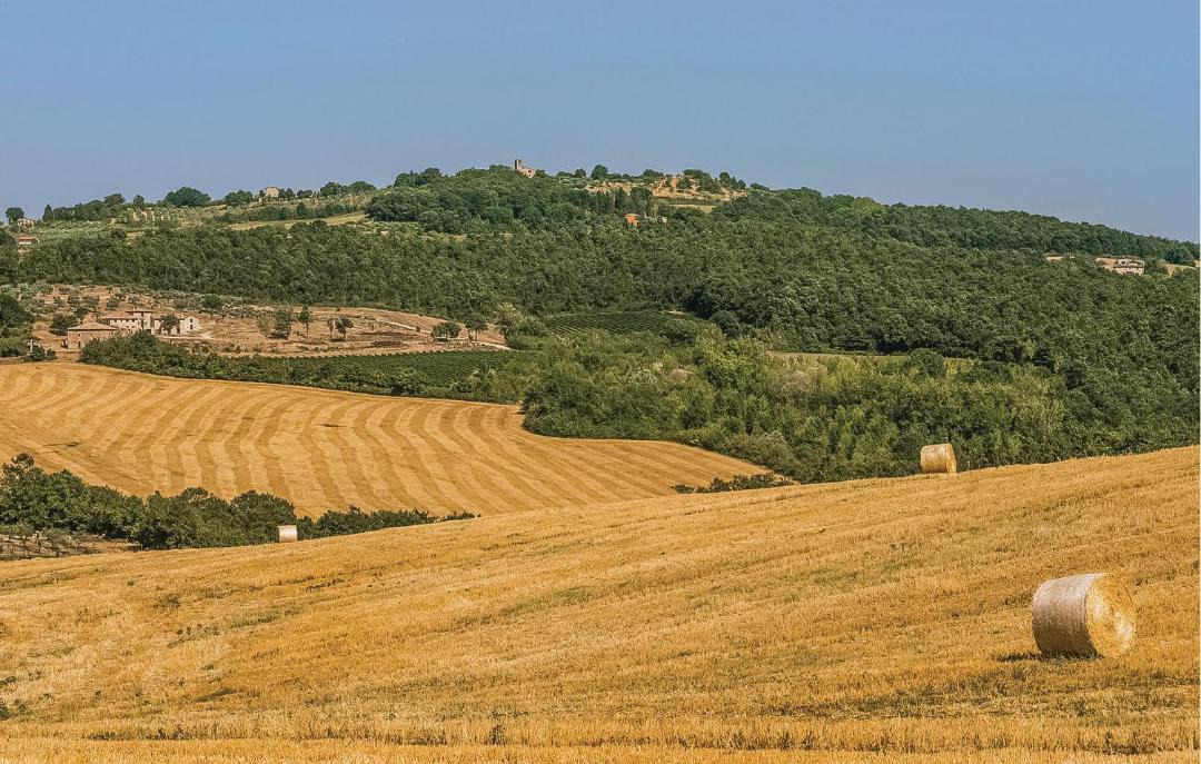 Photo of Others in Marcellano