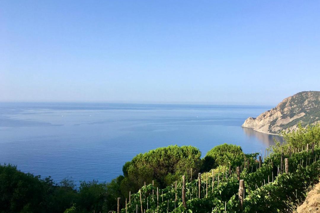 Photo of Others in Monterosso al Mare