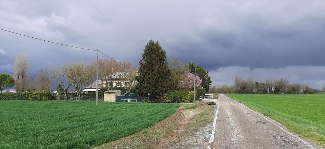 Photo of Others in Gambellara