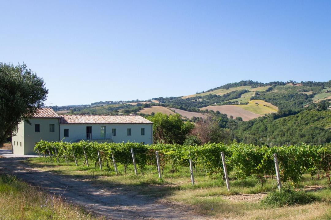 Photo of Others in Cupramontana