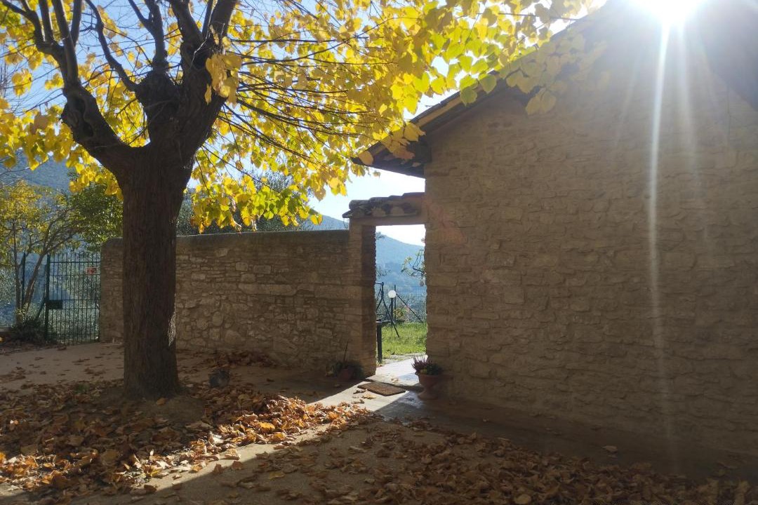 Photo of Others in Corciano