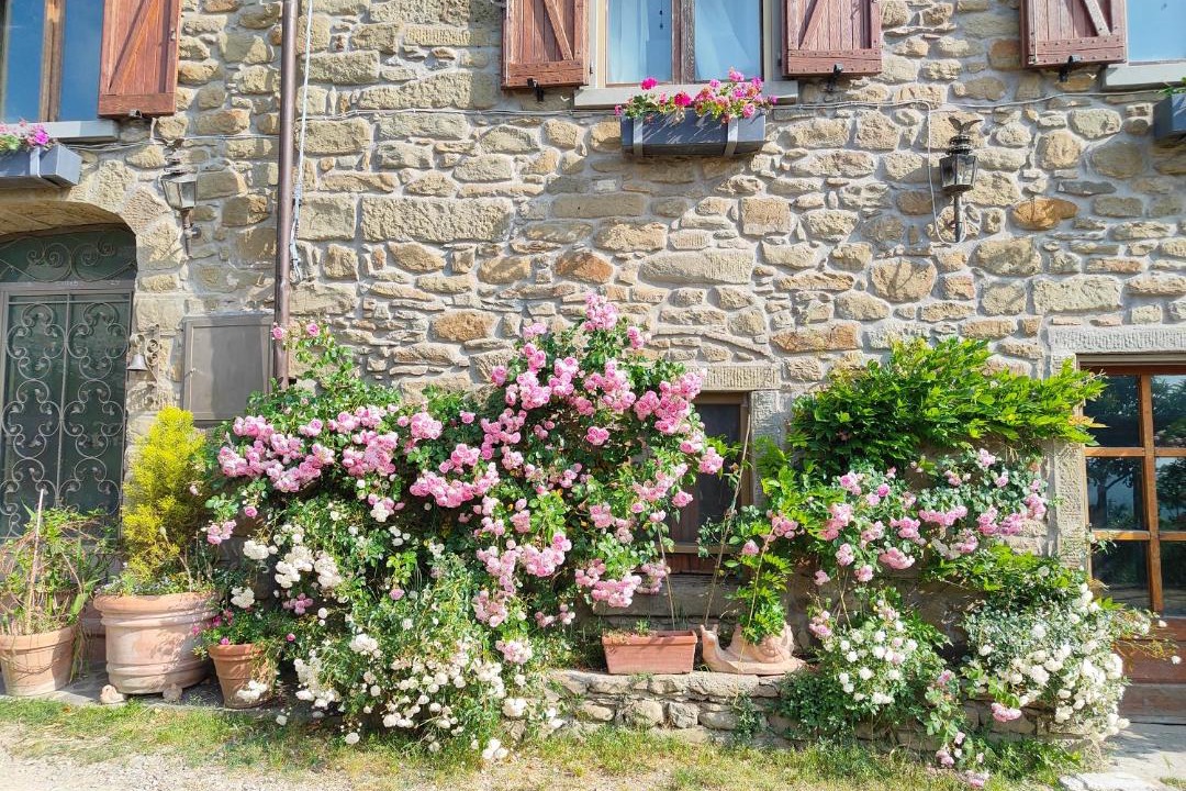 Photo of Others in Pieve di Chio