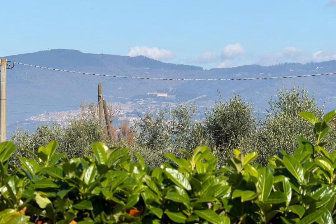 Photo of Others in Ferretto