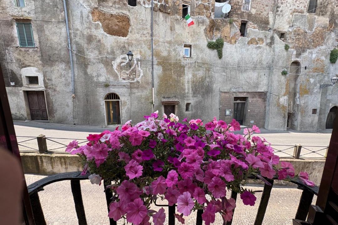 Photo of Others in Bassano Romano