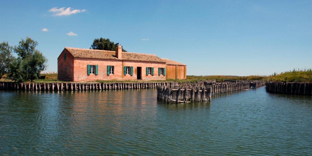 Photo of Outdoor in Lido degli Estensi