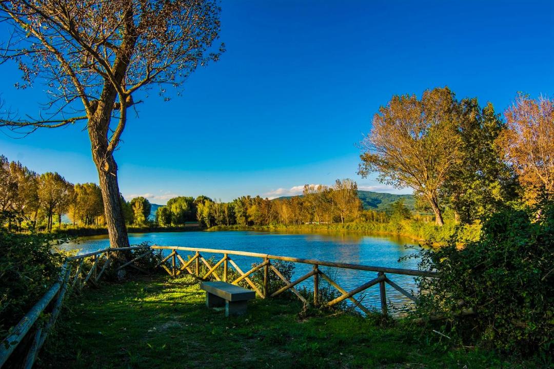 Photo of Others in Tuoro sul Trasimeno