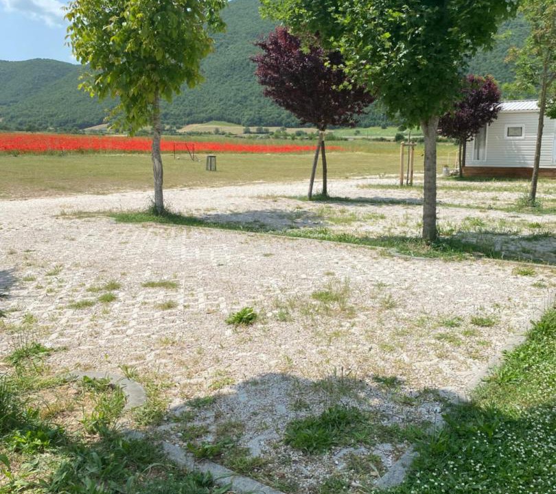 Photo of Others in Norcia