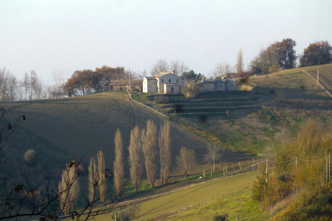 Photo of Others in Montecarotto