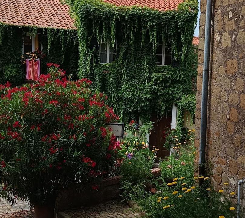Photo of Others in Palestrina