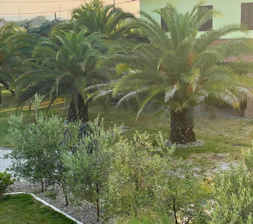 Photo of Others in Faenza