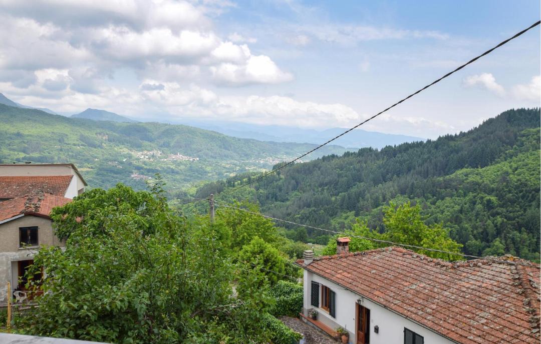 Photo of Others in Camporgiano